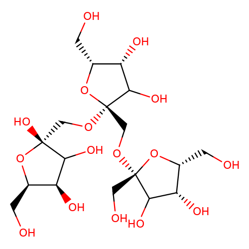 FOS Prebiotics Role in UTI Prevention in Women